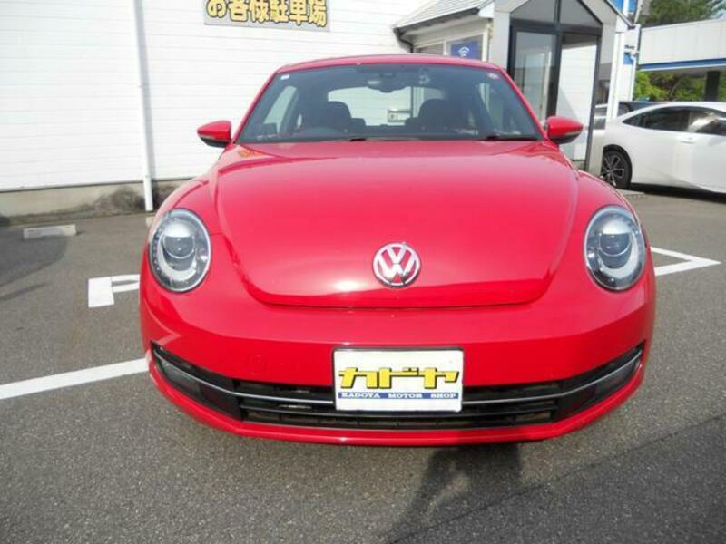 THE BEETLE