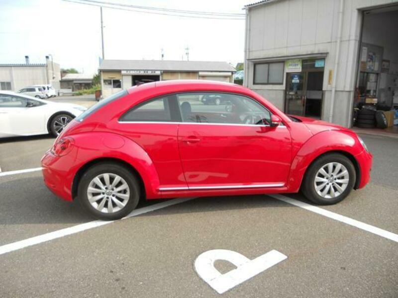 THE BEETLE