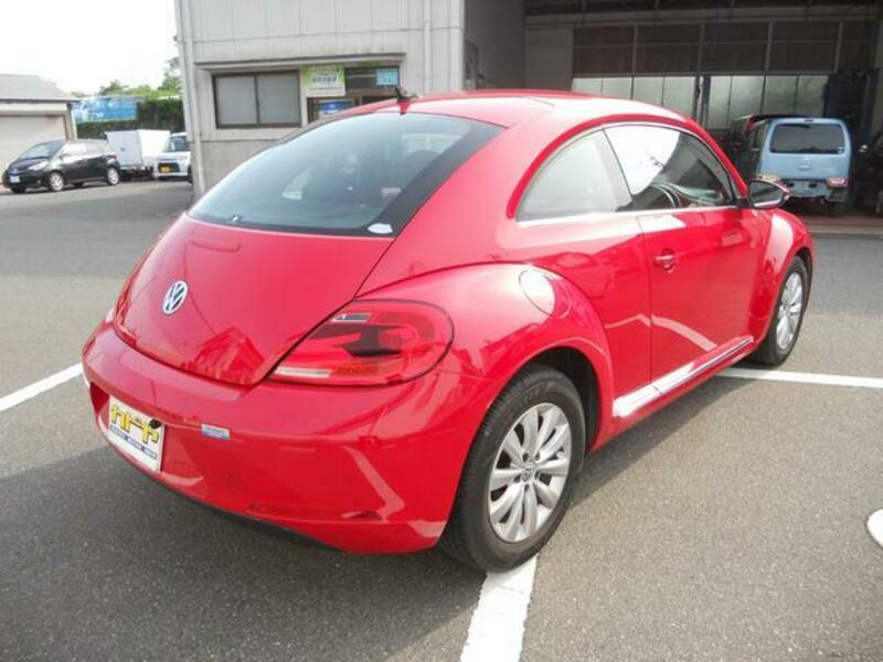 THE BEETLE