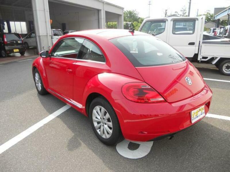 THE BEETLE