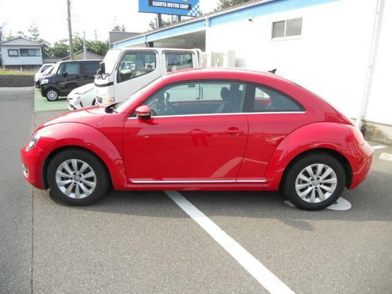 THE BEETLE
