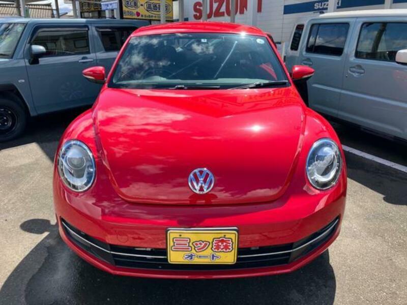 THE BEETLE