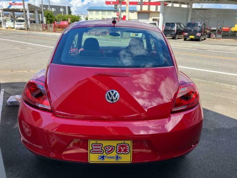 THE BEETLE