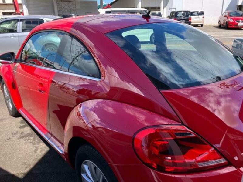 THE BEETLE