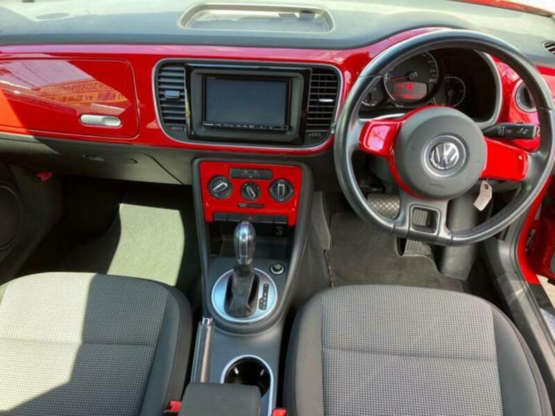 THE BEETLE