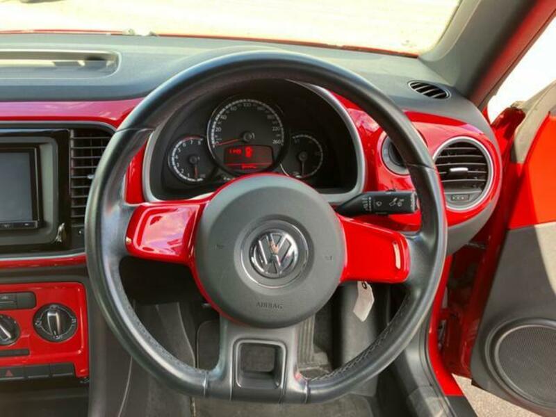 THE BEETLE