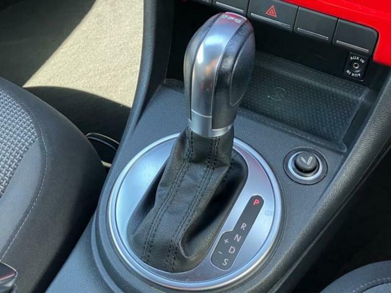THE BEETLE