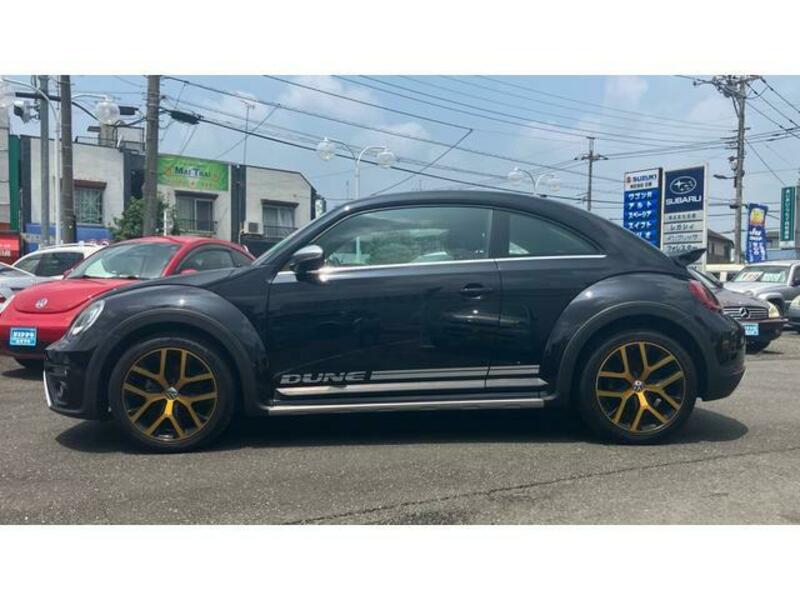 THE BEETLE