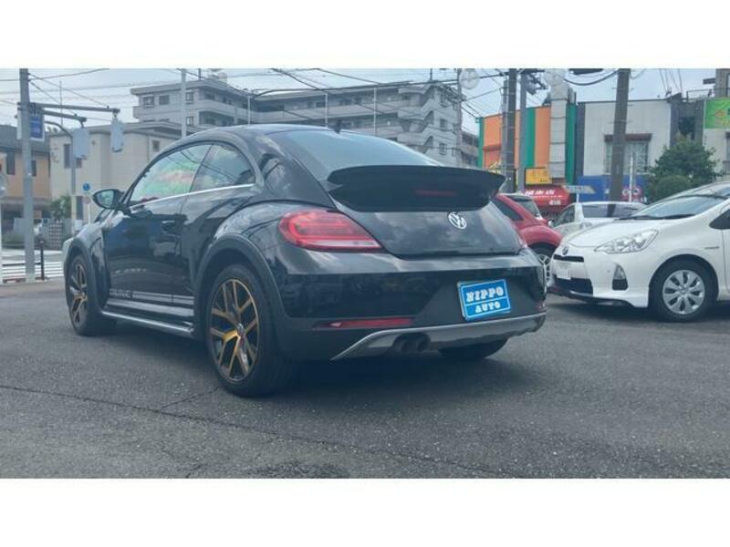 THE BEETLE