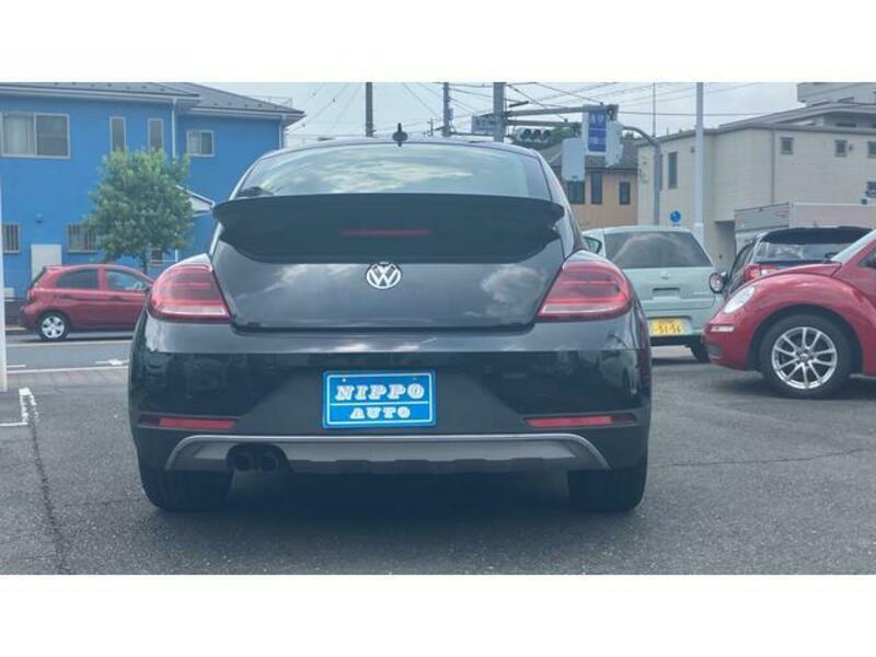 THE BEETLE
