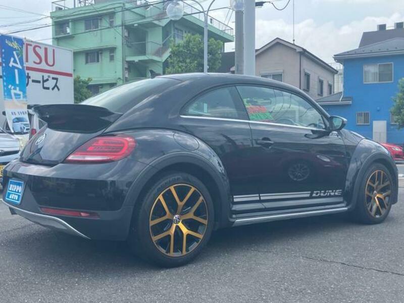 THE BEETLE