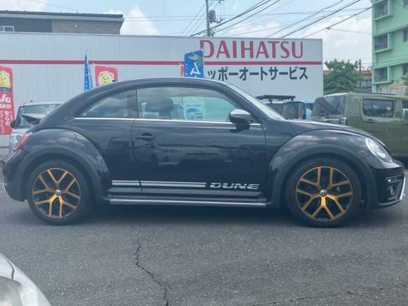 THE BEETLE