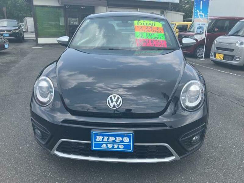 THE BEETLE