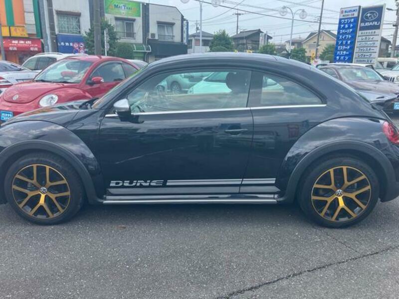 THE BEETLE