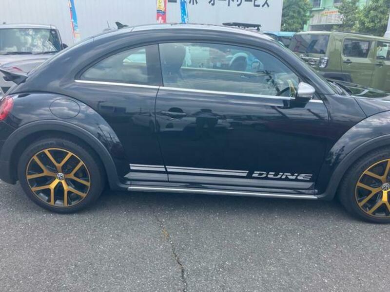 THE BEETLE