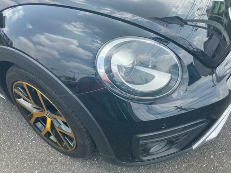 THE BEETLE