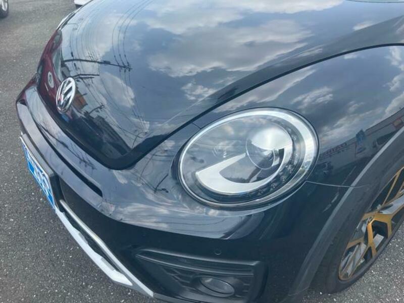 THE BEETLE