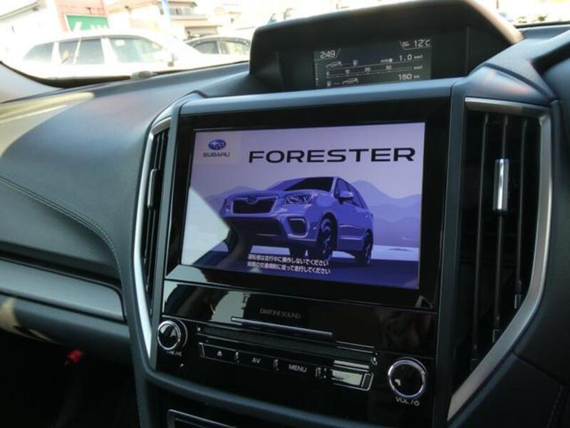 FORESTER