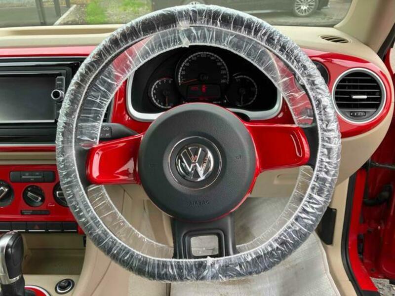 THE BEETLE