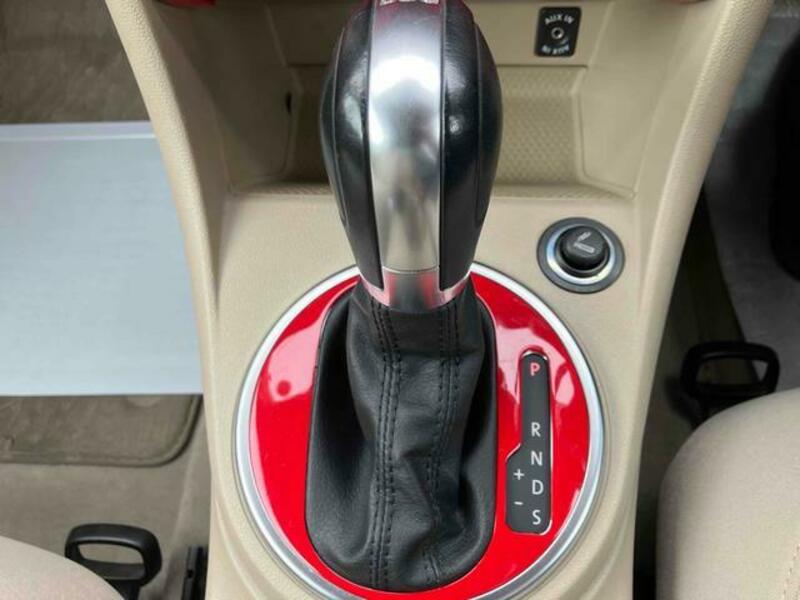 THE BEETLE