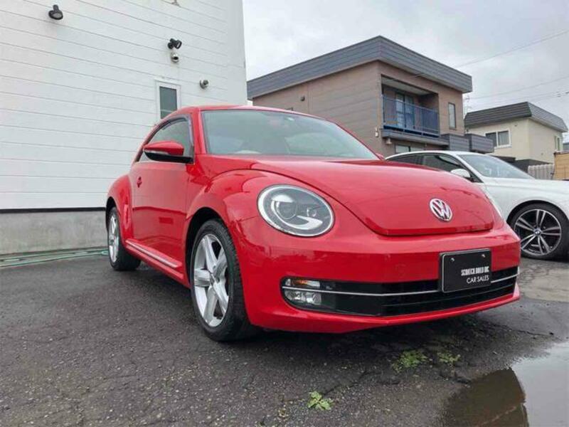 THE BEETLE