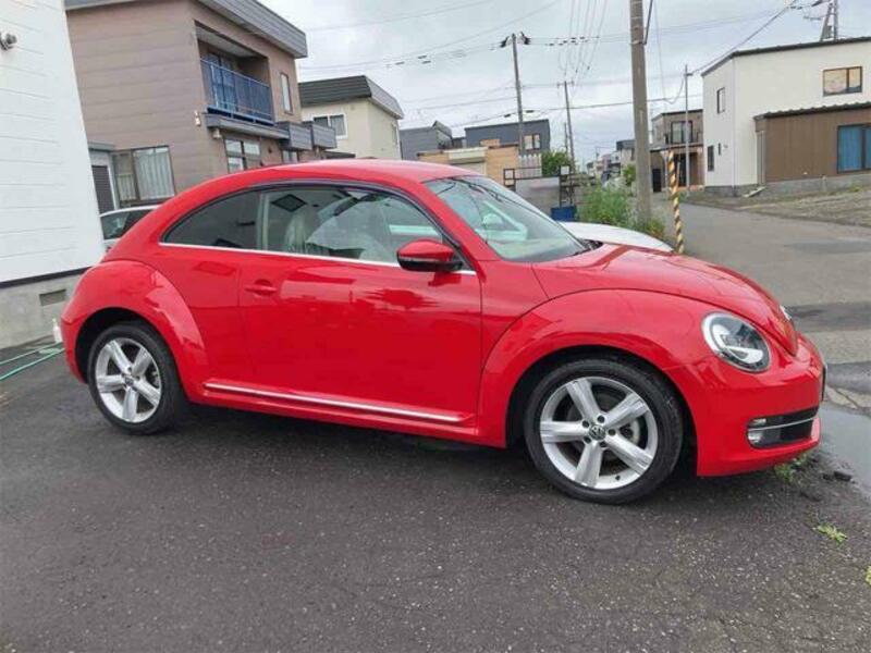THE BEETLE