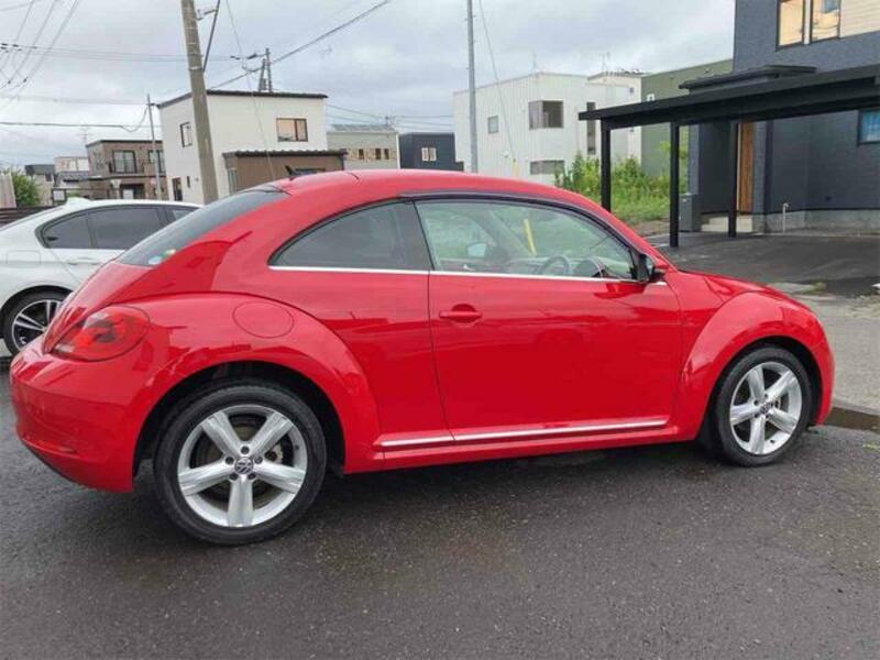 THE BEETLE