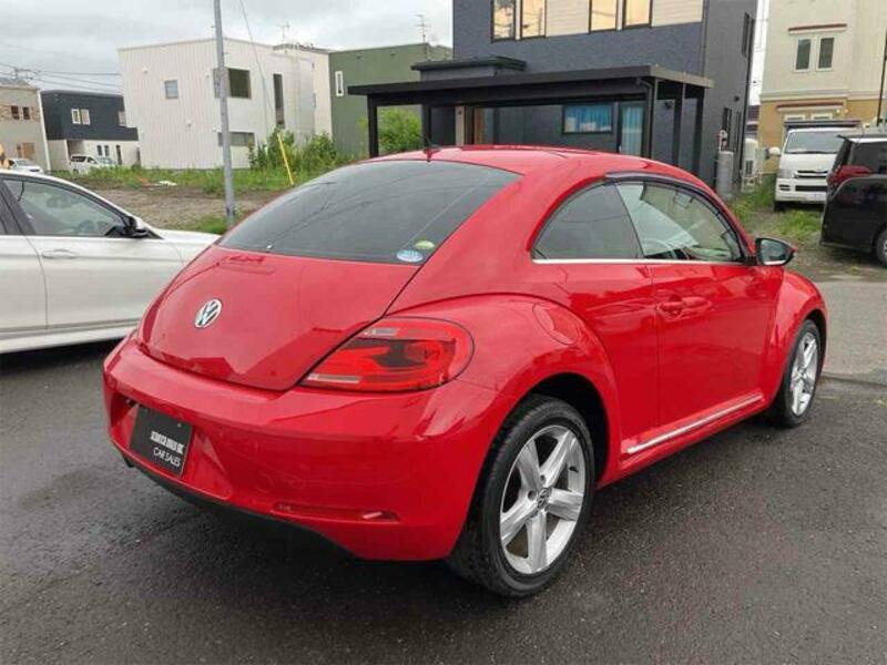 THE BEETLE