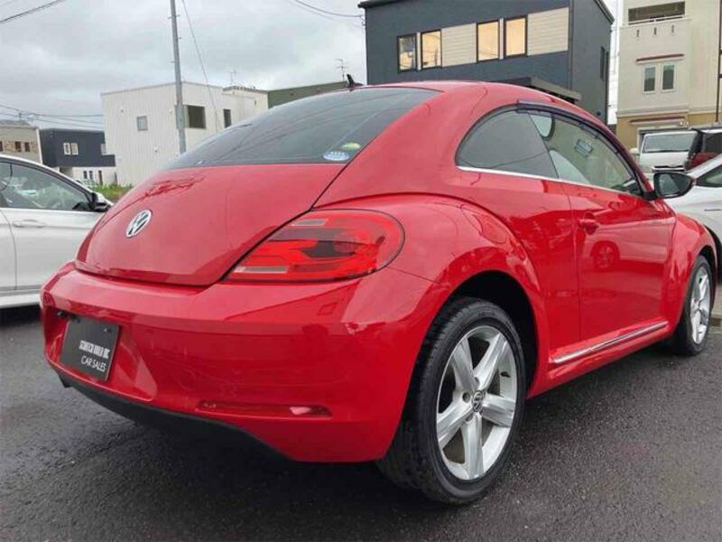 THE BEETLE