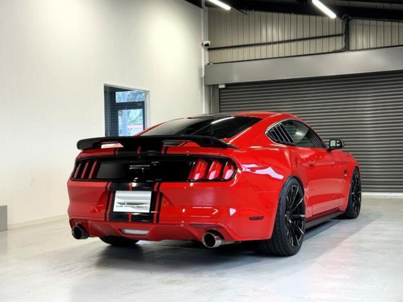 MUSTANG
