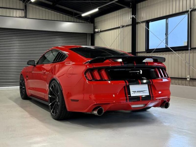 MUSTANG