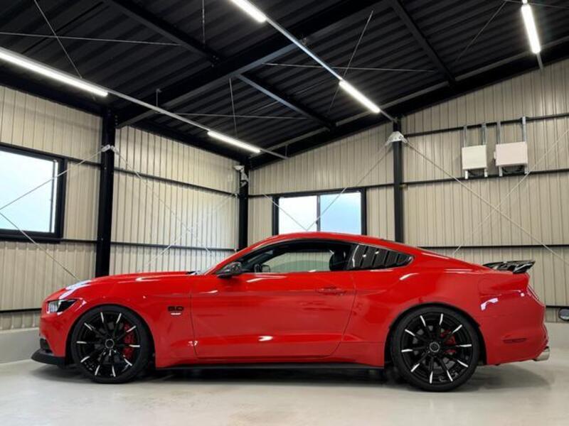 MUSTANG