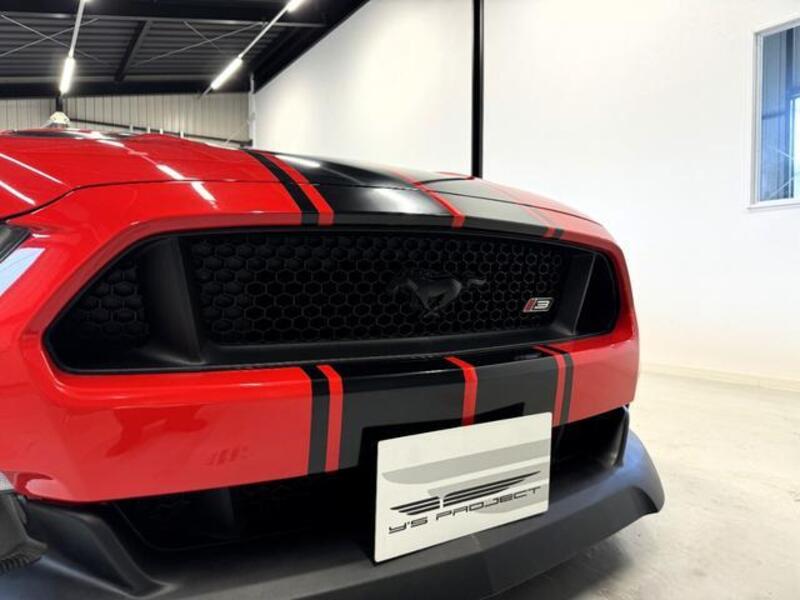 MUSTANG