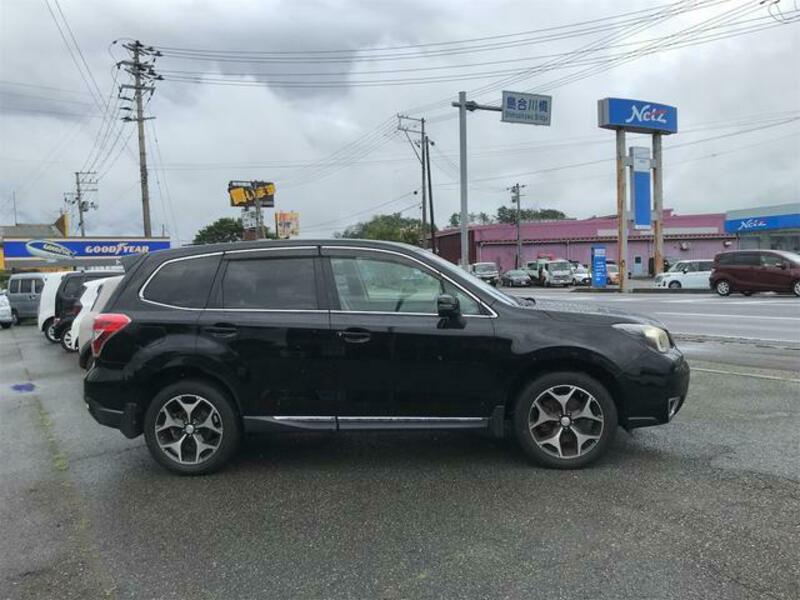 FORESTER