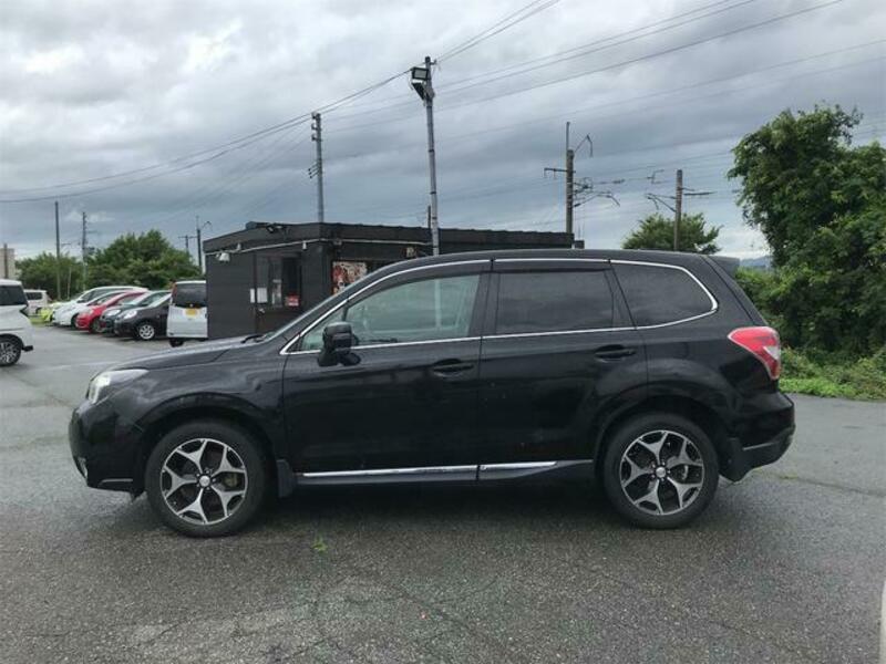 FORESTER