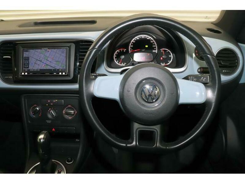 THE BEETLE