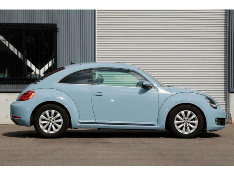 THE BEETLE