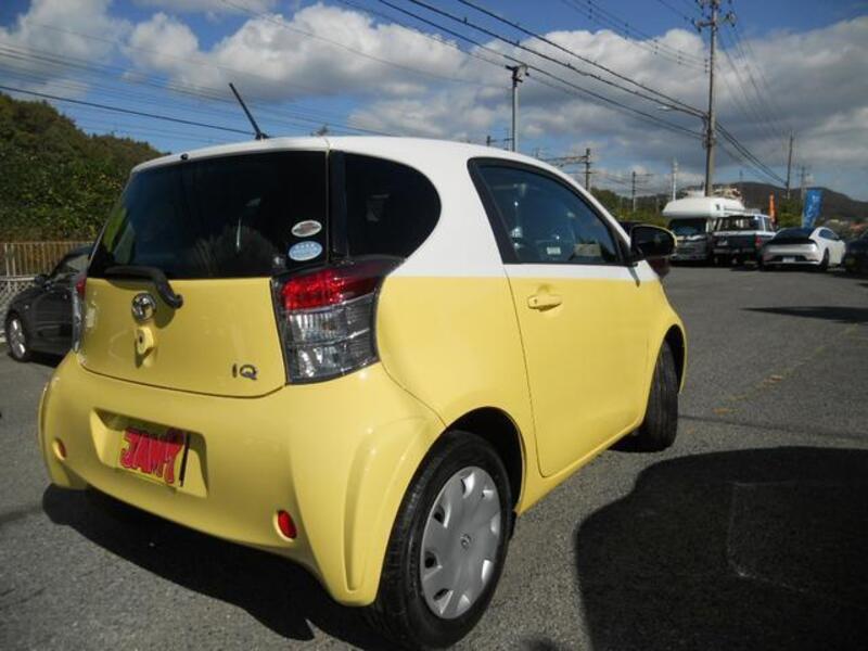 IQ