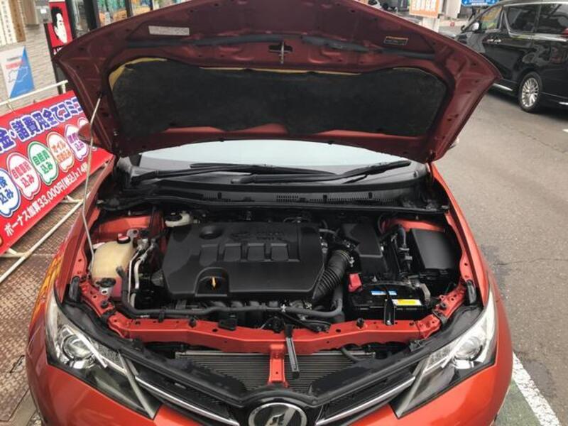 AURIS