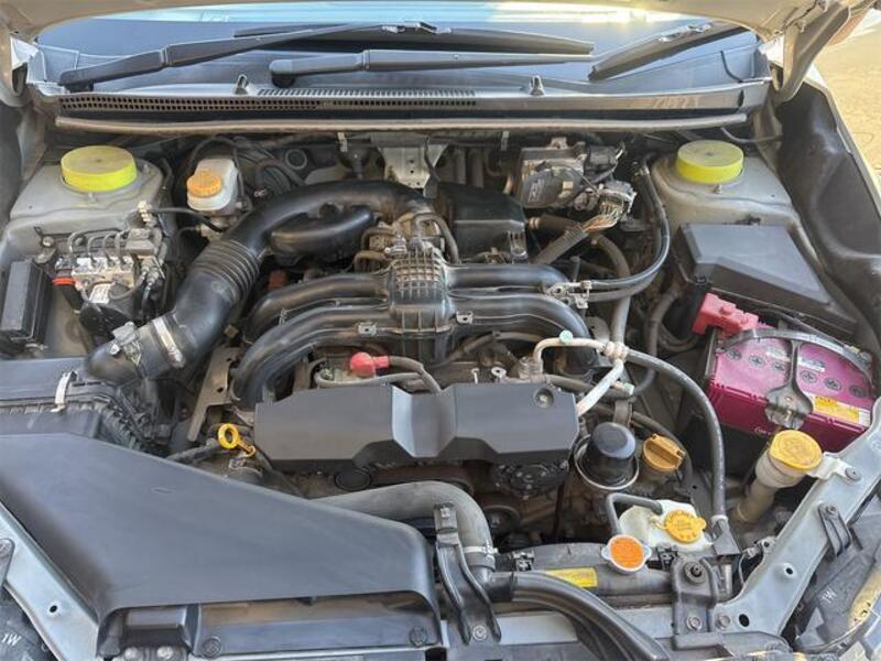 XV