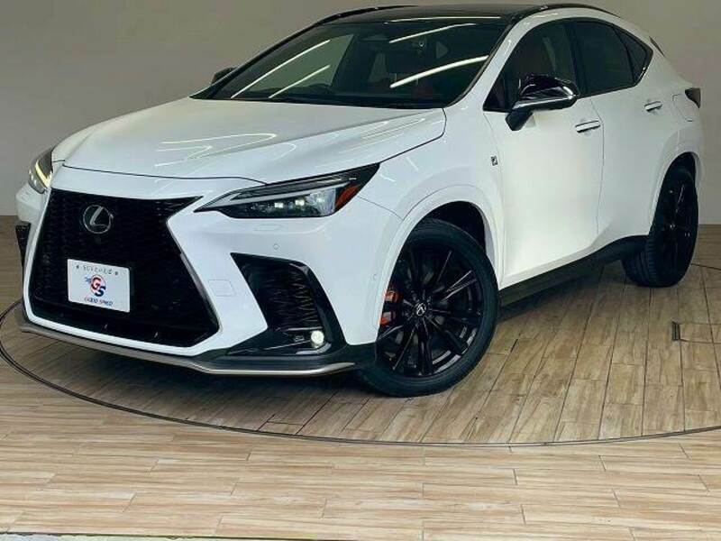 NX