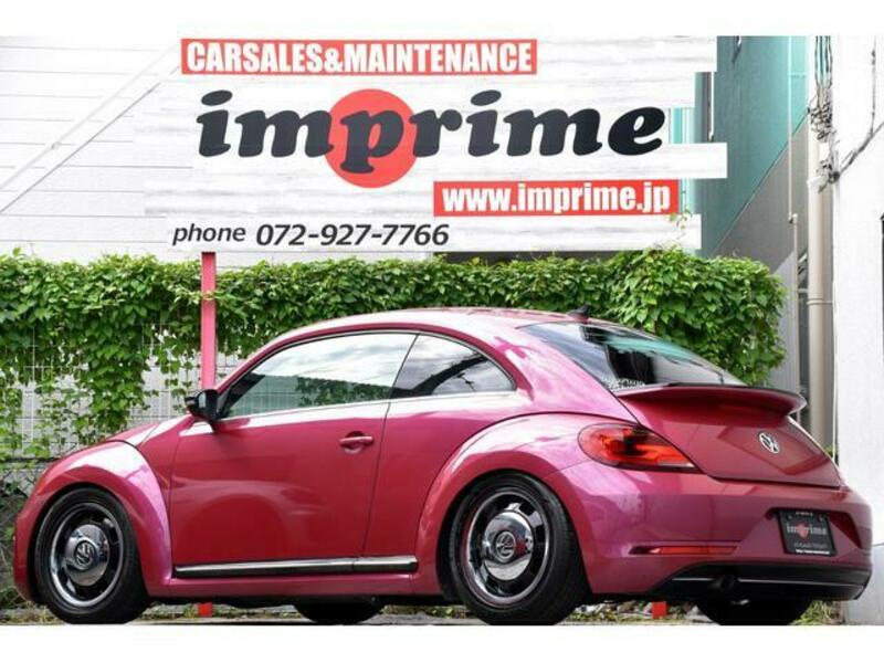 THE BEETLE