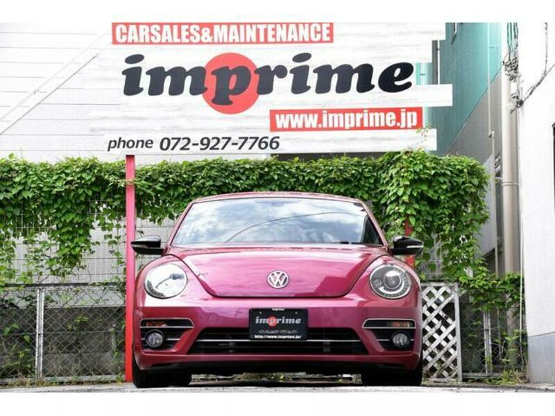 THE BEETLE