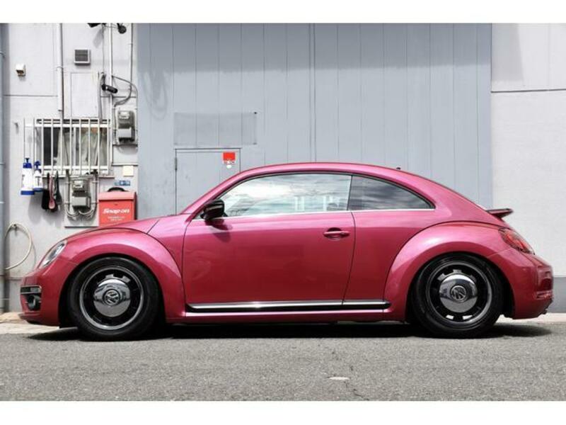 THE BEETLE