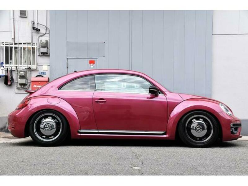 THE BEETLE