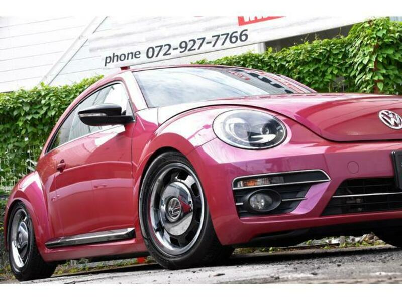 THE BEETLE