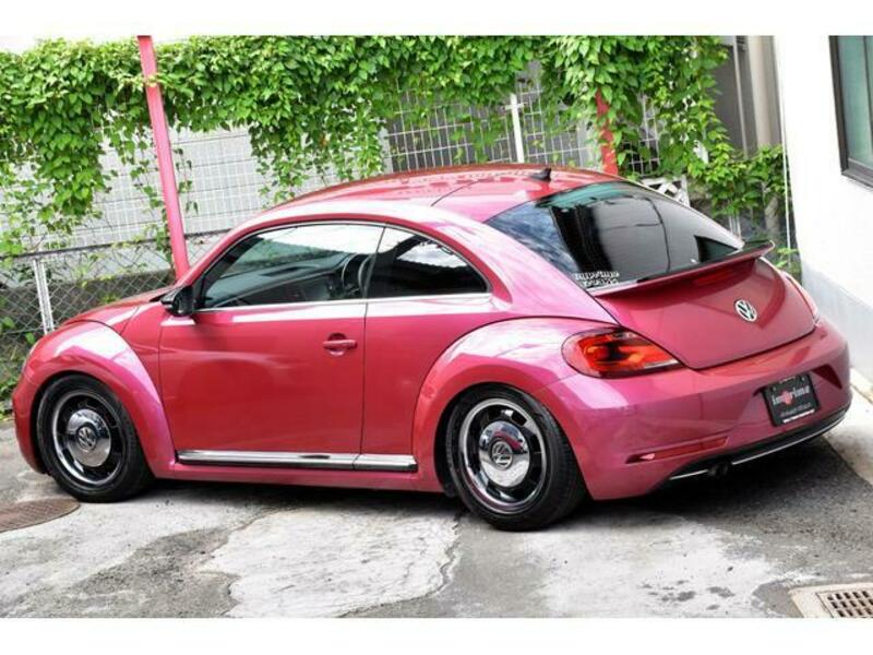 THE BEETLE