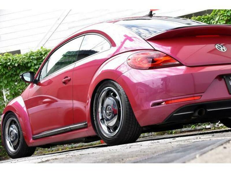 THE BEETLE