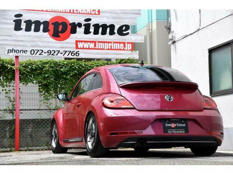 THE BEETLE