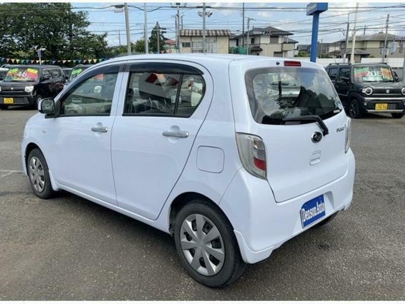 PLEO PLUS